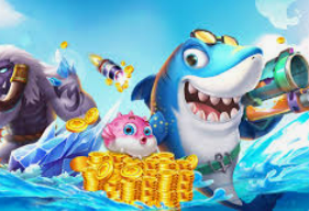 k·yun新网站登录下载app免费版