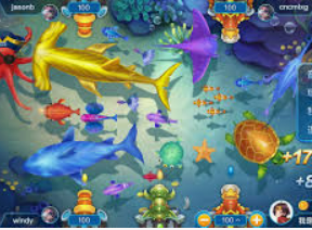 k·yun新网站登录下载app手机版